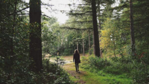 Femme de dos qui se promène dans la forêt.