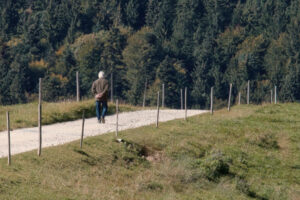 Homme âgé situé de dos et qui marche sur un sentier en terre en pleine nature.