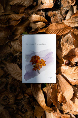 Biographie posée sur un tas de feuilles, avec pour illustration une fleur dans les tons orangés.