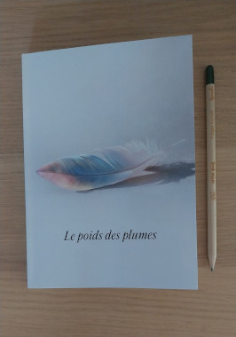Biographie posée sur une table près d'un crayon et écrite par laurence terroni